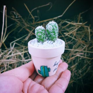 Chậu xương mini trắng 2 nhành nhỏ xinh ( cả cây và chậu vẽ)