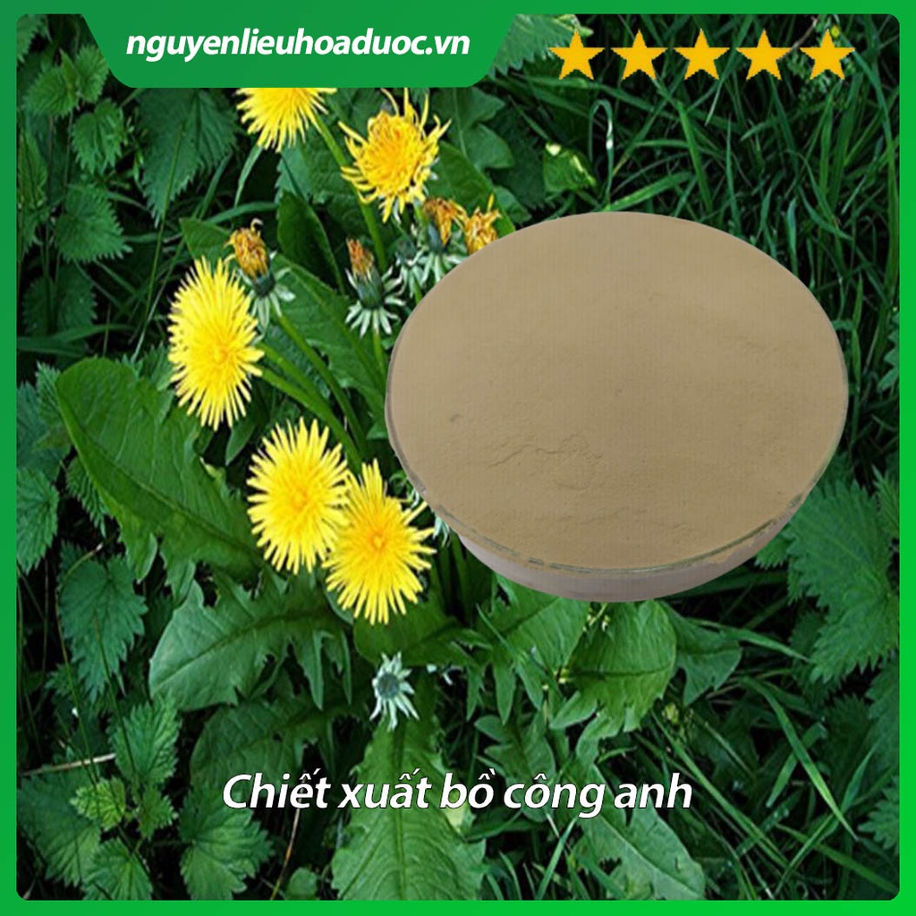 Bột cao khô Bồ công anh 50g, 100g