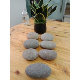 Đá Kì Tắm Tự Nhiên Dài Kỳ Lưng Dài, Đá khô Cuội Tắm Tẩy Da Chết | BigBuy360 - bigbuy360.vn