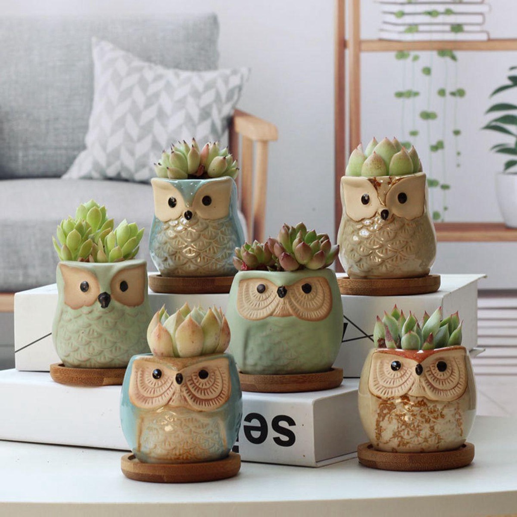 Chậu Hoa Bằng Gốm Kèm Khay Tre Dễ Thương