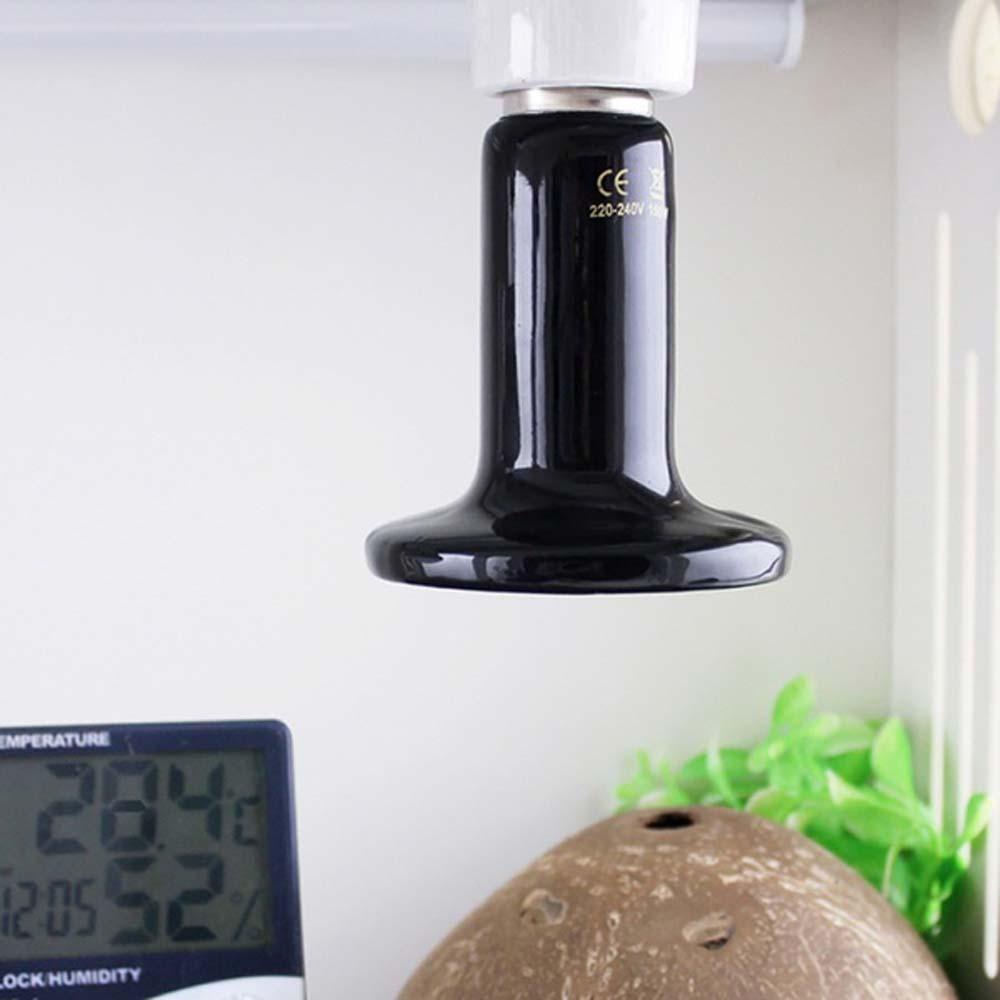 Bóng Đèn Sưởi Ấm Cho Rùa E27 220V-240V