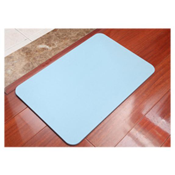 Thảm Cứng Siêu Thấm Nhật Bản ( 60x39x0.9cm )