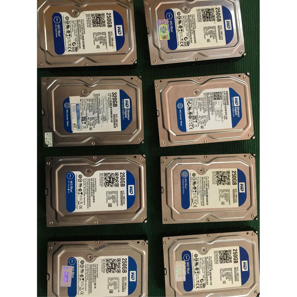 HDD 250G SEAGATE & WESTERN HÀNG CÔNG TY BÓC MÁY ( BH 01 tháng, 01 ĐỔI 01) | BigBuy360 - bigbuy360.vn