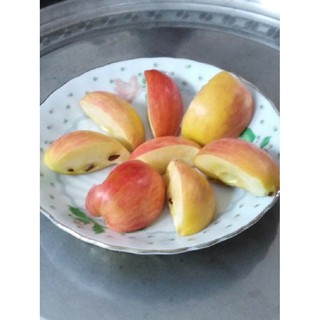 Táo mèo ngâm giấm