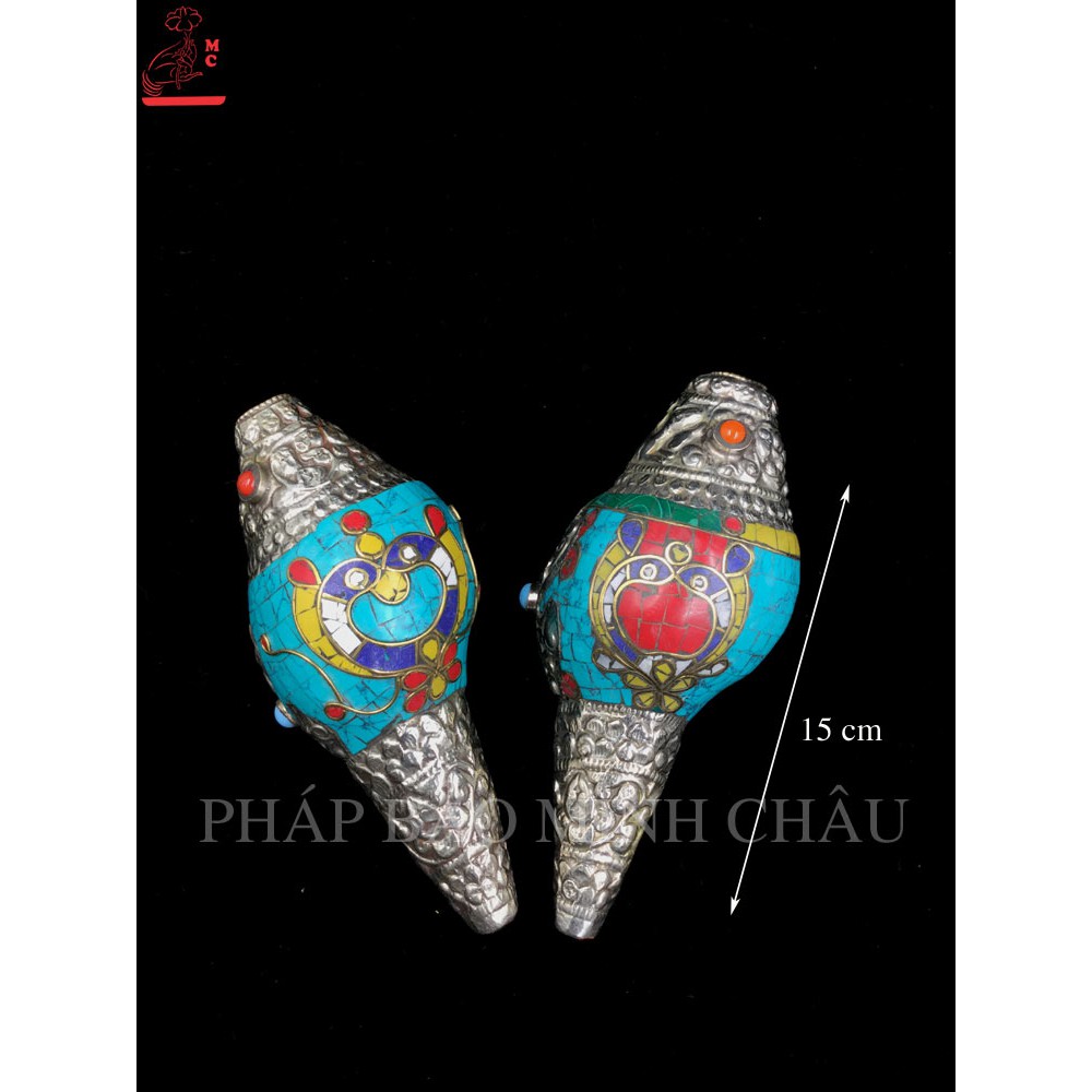 ỐC BIỂN NEPAL HOA VĂN TO