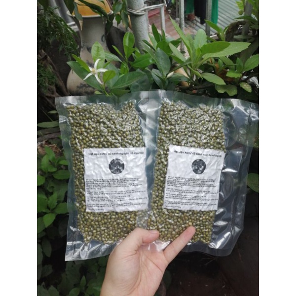 Hạt đậu xanh/ đỗ xanh nguyên vỏ Organic làm giá đỗ và sữa hạt Yenlanhnatural