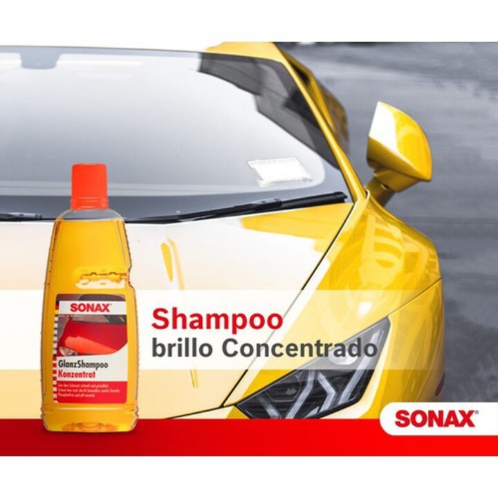 Nước rửa xe ô tô đậm đặc nhãn hiệu Sonax 314300 - Hàng chính hãng