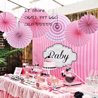 Set hoa rẻ quạt giấy trang trí