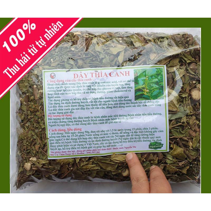 [Mã 267FMCGSALE giảm 8% đơn 500K] Dây thìa canh Hải Hậu