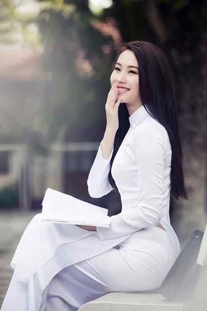 Vải tằm thái hihu