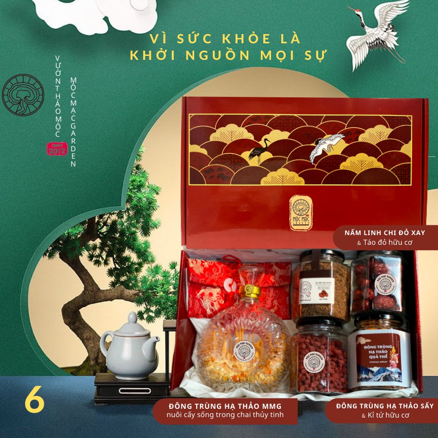 Set quà biếu Cao Cấp vì sức khỏe | BigBuy360 - bigbuy360.vn