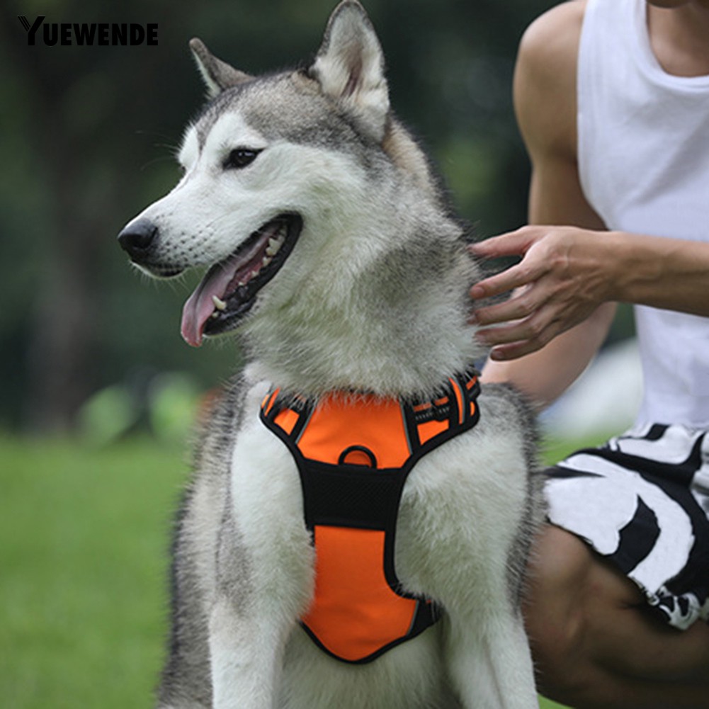 Áo dắt chó đi dạo có thể điều chỉnh thoáng khí phối dây buộc phản quang