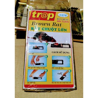 Bẫy Sập Chuột Size Lớn 20x10 Hàng Thép Dày Chắc Chắn