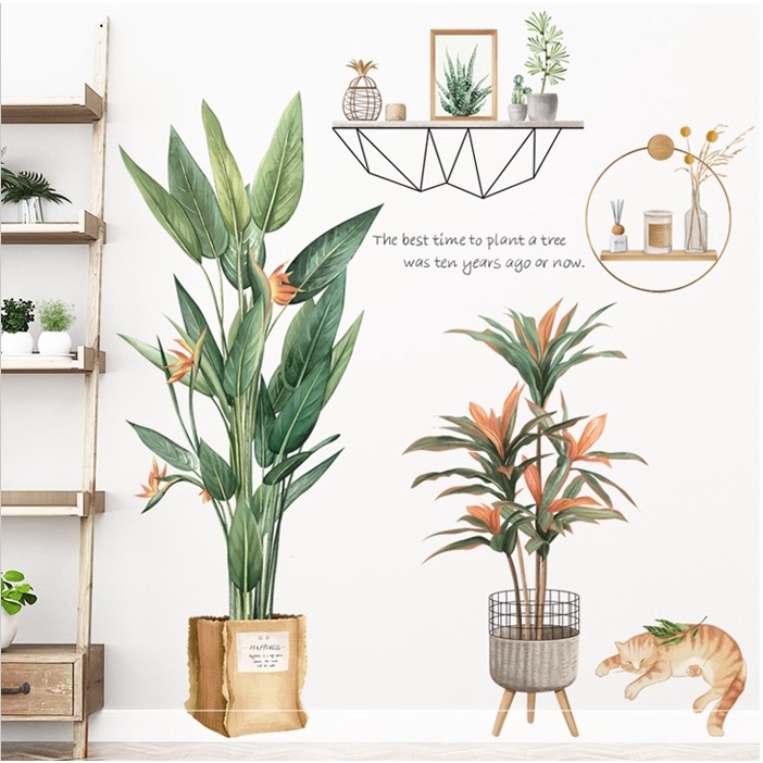 DECAL DÁN TƯỜNG CHẬU CÂY HOA THIÊN ĐIỂU