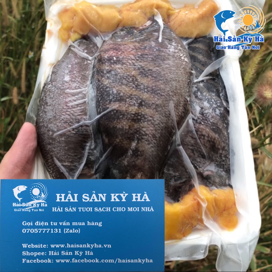 [HCM] Giá Sỉ 1Kg Cá Sặc Trứng 1 Nắng | BigBuy360 - bigbuy360.vn