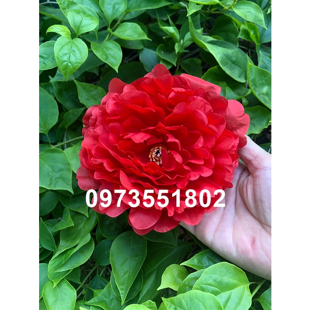 Đầu bông mẫu đơn trang trí size lớn