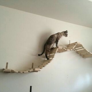 Võng treo CAT WALK