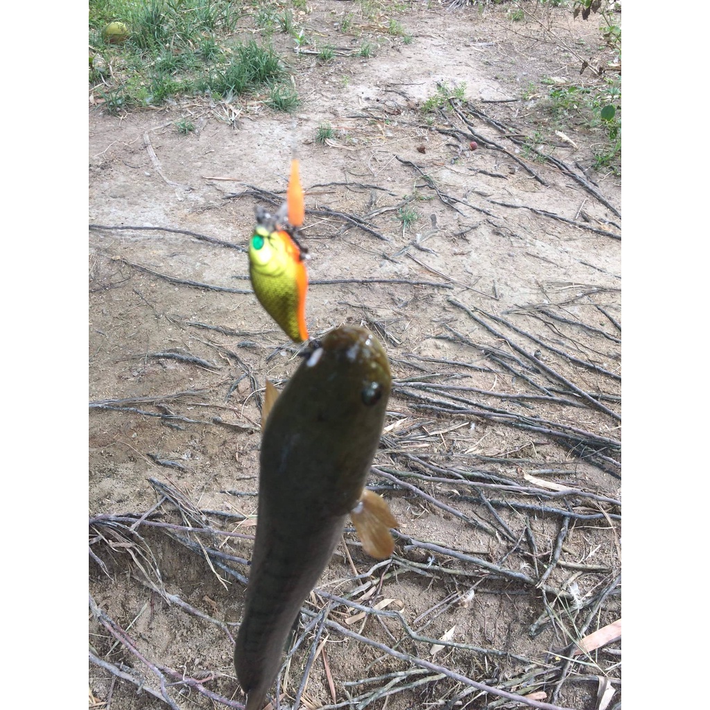 Mồi Lure câu cá siêu nhạy Crank Cherry 6.5g Hirushima HKN Fishing