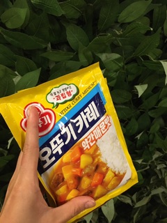 [ HÀNG CÓ SẴN ] BỘT CÀ RI OTTOGI 100G