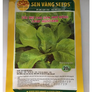 hạt giống cải mơ cao sản