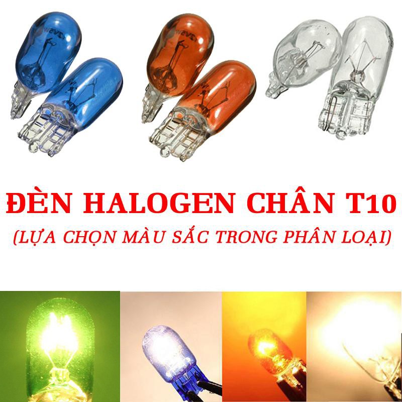 Bóng đèn xi nhan Halogen dây tóc đèn demi, đèn soi biển số Greennetworks