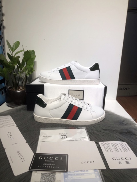 Giày guccciii-bản trơn-cao cấp mới nhất new 100%