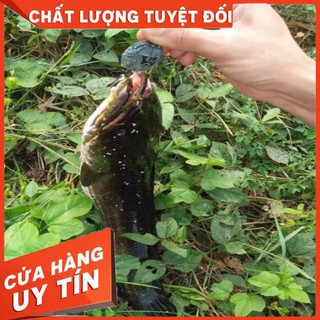 Mồi câu lure Hunter V4