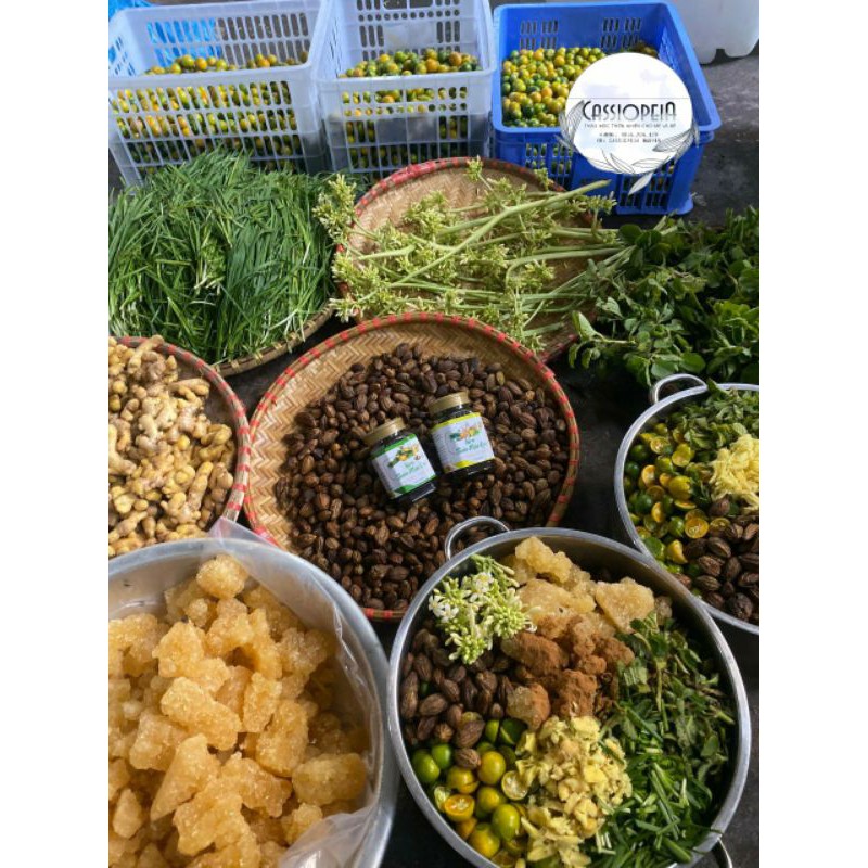 Siro ho thảo mộc quê giảm nhanh ho có đờm, viêm họng, sổ mũi | BigBuy360 - bigbuy360.vn