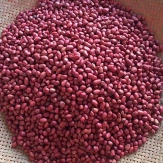Lạc đỏ tây bắc