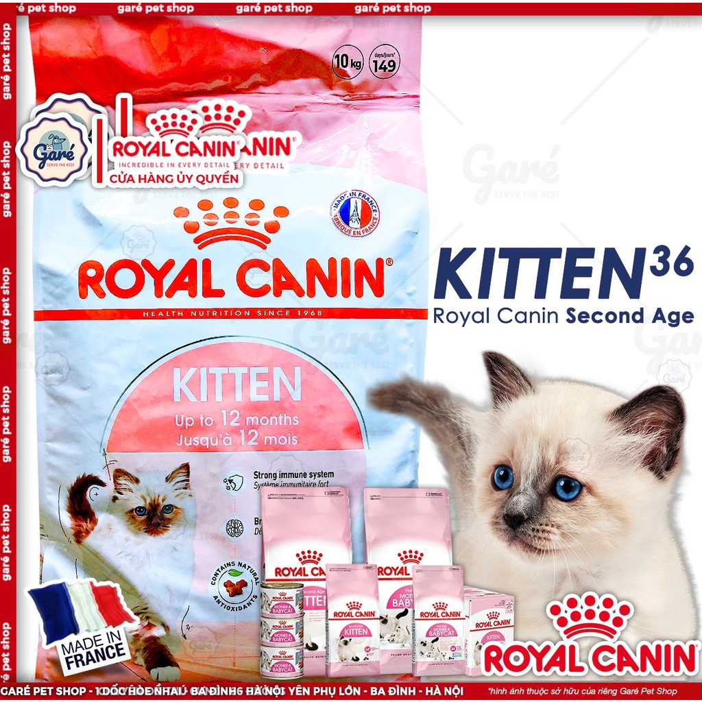 10kg Hạt mèo con Kitten 36 Royal Canin dành cho mèo con từ 4 - 12 tháng tuổi