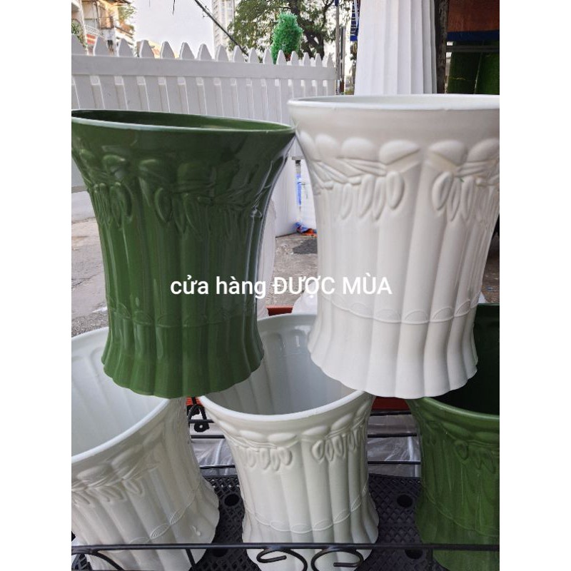 combo 2 chậu nhựa ống trúc đk 21cm cao 25cm