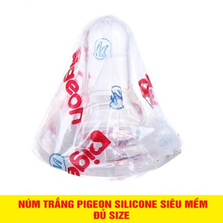 Núm vú trắng Pigeon