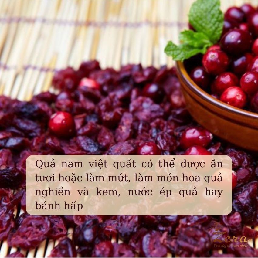 Nam Việt Quất Mỹ Cranberry Sấy Khô