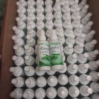 Combo 5 XỊT RỬA TAY KHÔ LEANSHOW