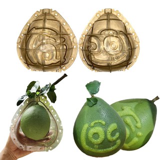 Khuôn tạo hình giọt nước khắc chữ Tài Lộc cho Dưa lê vàng, Bưởi Da Xanh, Bưỡi Diễn