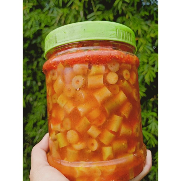 Măng trúc Yên Bái ngâm muối ớt hộp 1kg