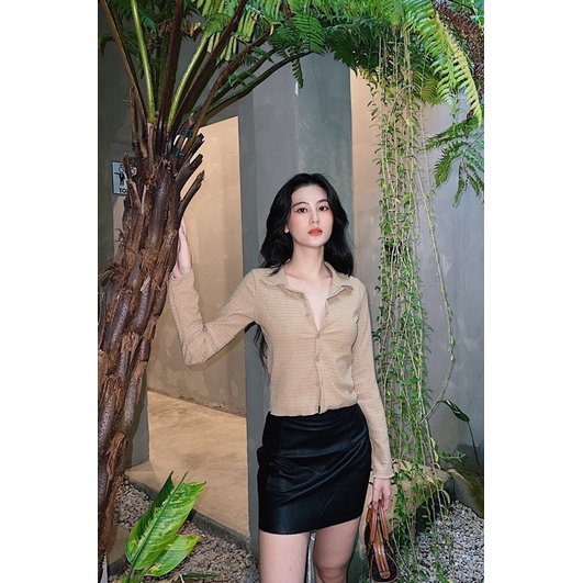 COLOR SHIRT▪️ÁO POLO NÚT TAY DÀI