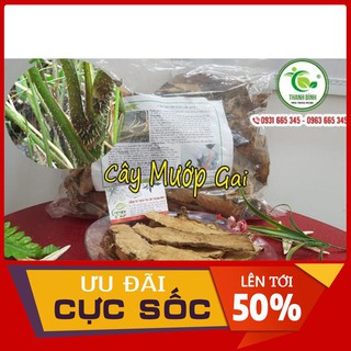 Cây Mướp Gai 100g Cây Móp Gai - Thảo Dược Thanh Bình
