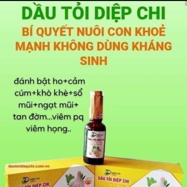 Tinh dầu tỏi diệp chi gold