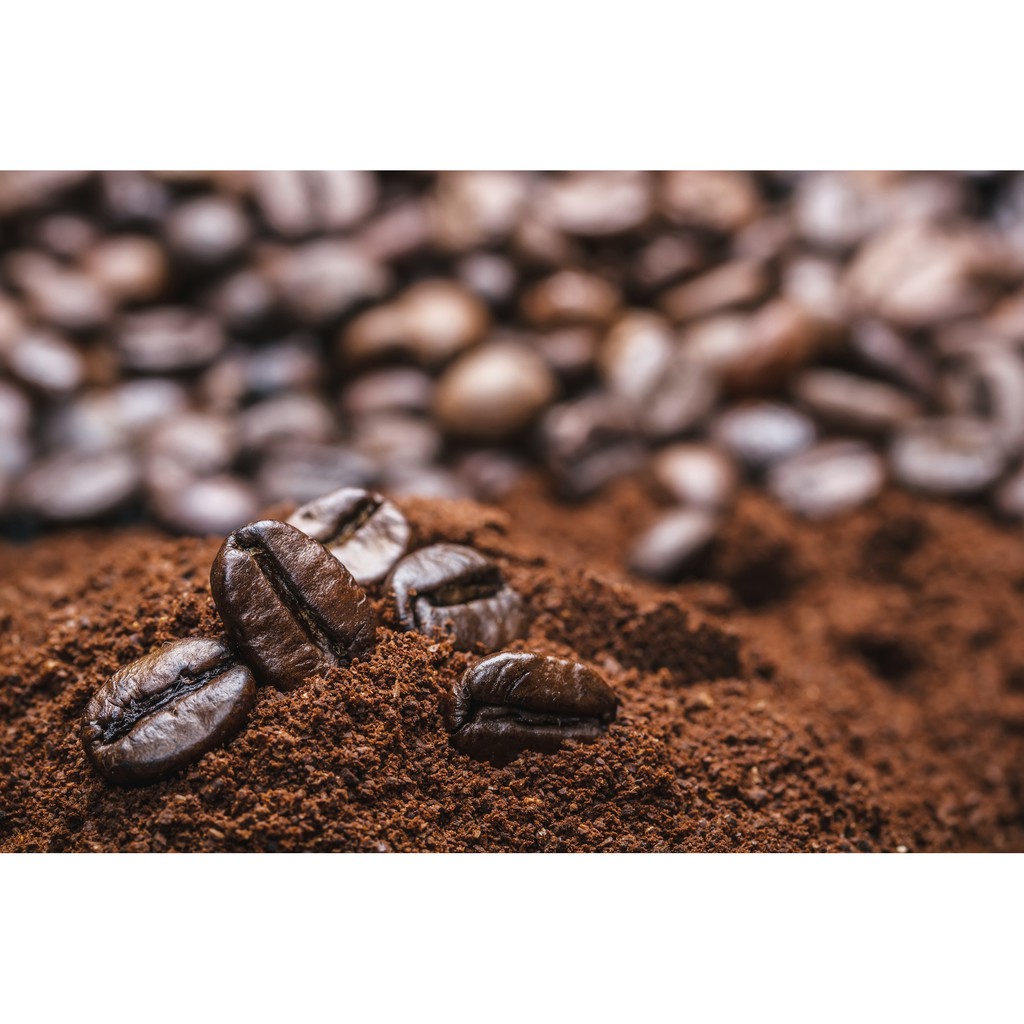 Cà phê nguyên chất 100% Coffee Tree đặc biệt 500gr thơm ngon, đậm đà