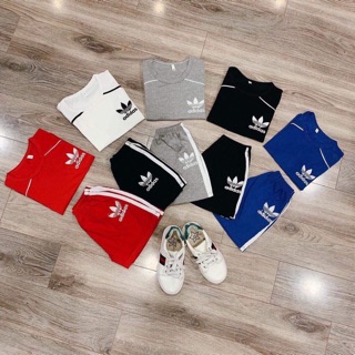 Sỉ lố 25b