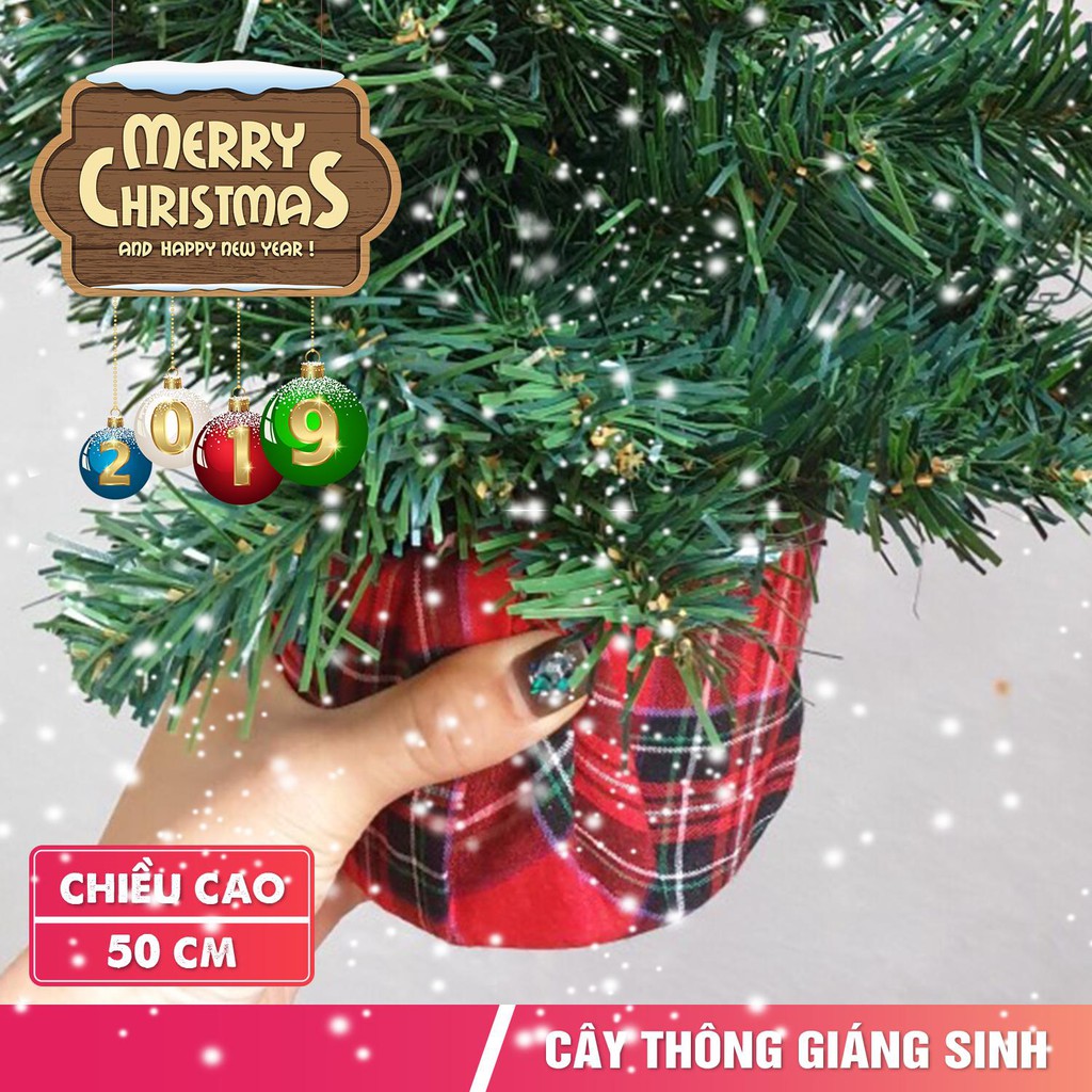 Cây thông Noel trang trí cao 50cm 🎄 FREESHIP 🎄 Cây thông Noel mini trang trí đầy đủ phụ kiện cao 50m mẫu C12