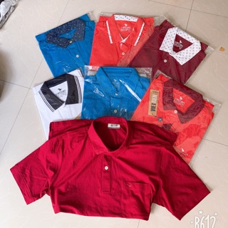 Áo viettien cổ trụ
