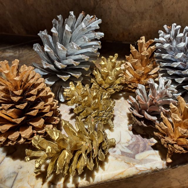 Set 10 quả thông phun sơn