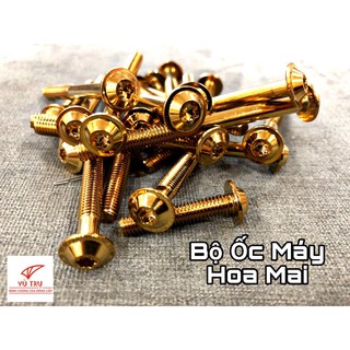 [ĐẮT HÀNG] Bộ Ốc Máy Proti Hoa Mai Titan+Vàng mọi loại xe- THƯƠNG HIỆU UNIVERSE