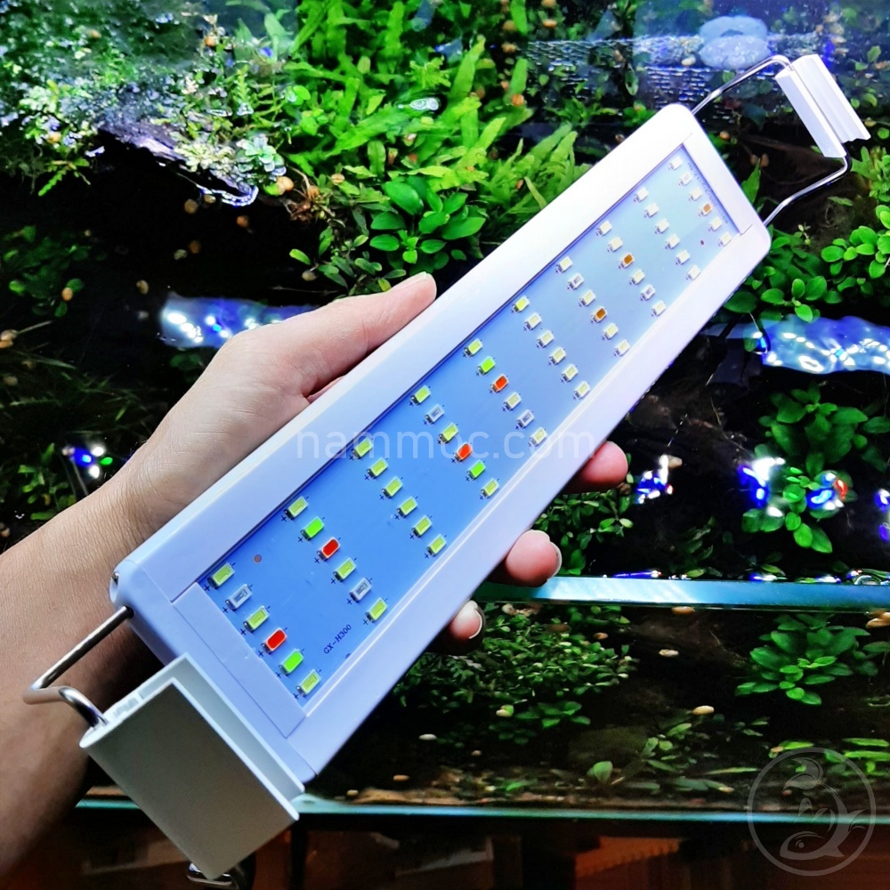 Đèn LED Thuỷ Sinh 6 Dãy Siêu Sáng - Nhiều tuỳ chọn Đèn Trắng | Đèn Màu | Đèn 3 Chế Độ Màu