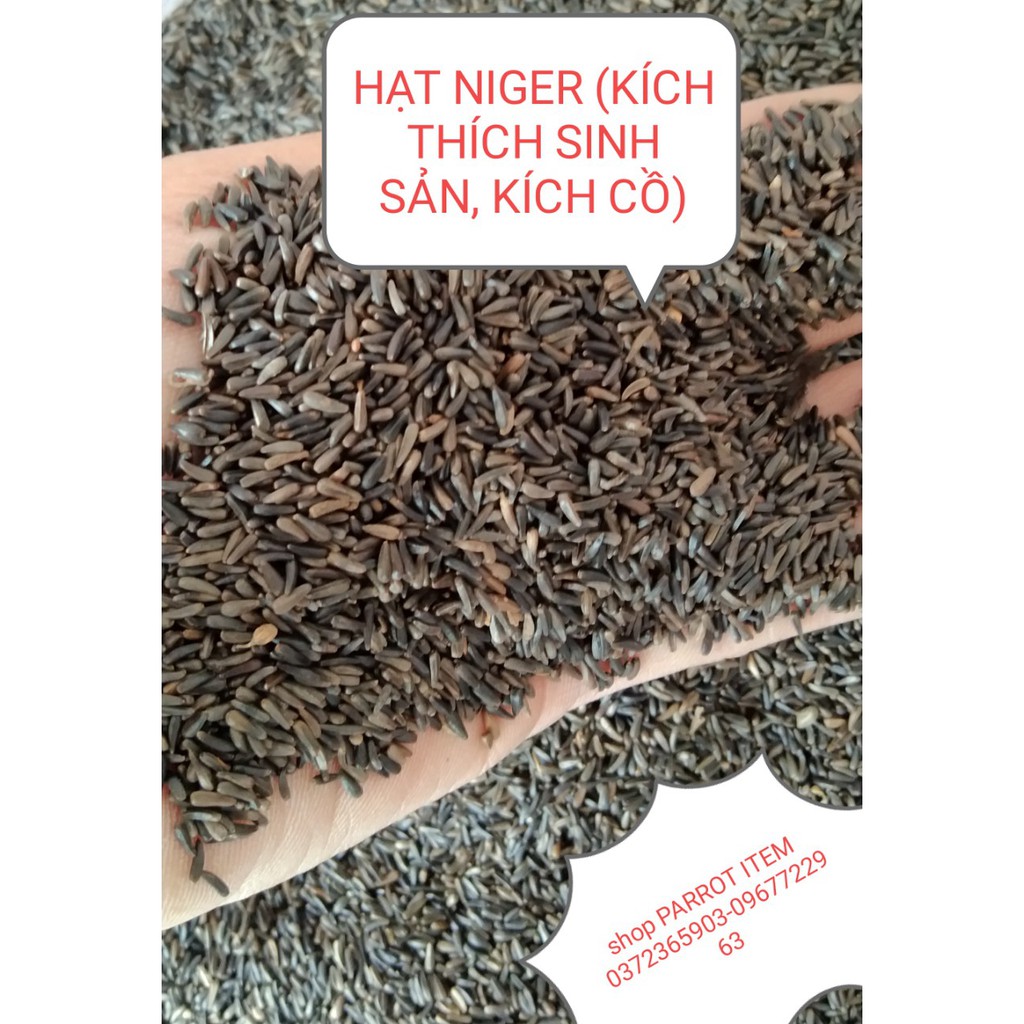 100g HẠT NIGER (KÍ.CH THÍ.CH SI.NH SẢ.N, KÍC.H C.Ồ) CHO CHIM VẸT