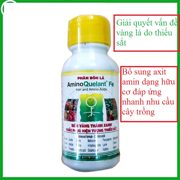 PHÂN BÓN Amino Fe Hữu cơ PHÂN BÓN VI LƯỢNG bổ sung sắt hỗ trợ vàng lá do thiếu hụt vi lượng