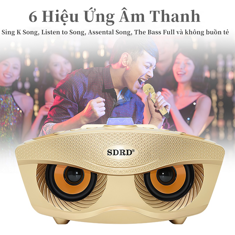 Loa Bluetooth Loa kèm micro hát karaoke Bluetooth SD306plus Không dây hết với điện thoại, máy tính bảng, Smart TV v.v...
