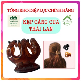 Kẹp tóc càng cua loại to hot hit thái lan 3 màu